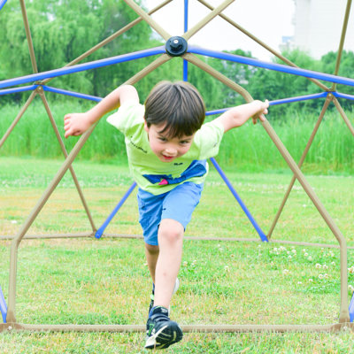 SENCHO GINSYTALIOR 12 pi Jungle Gym