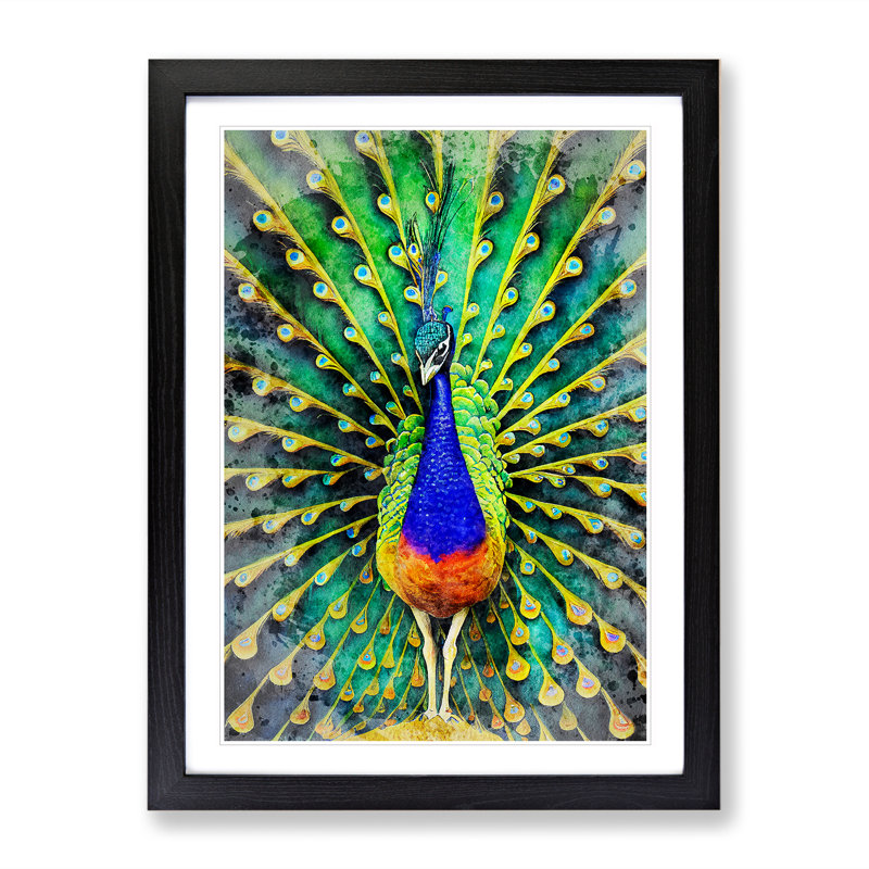 Peacock Watercolour No.1 - Single Picture Frame Painting, Black Framed, 64cm H x 46cm W x 2cm D