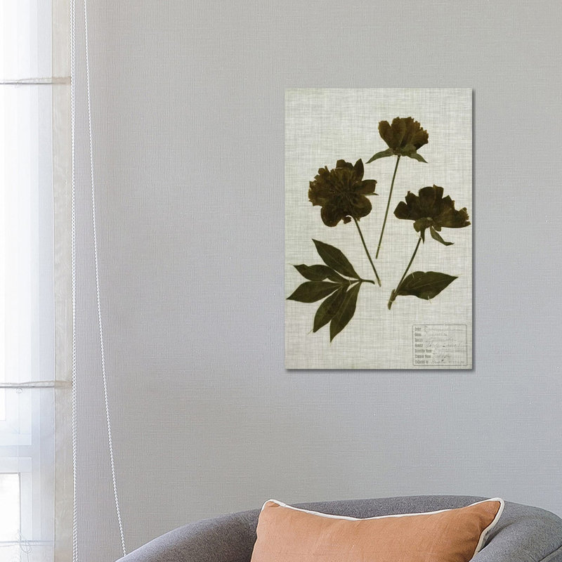 Pressed Leaves On Linen by Vision Studio - Wrapped Canvas Gallery-Wrapped Canvas Giclée, 66.04 cm H x 45.72 cm W
