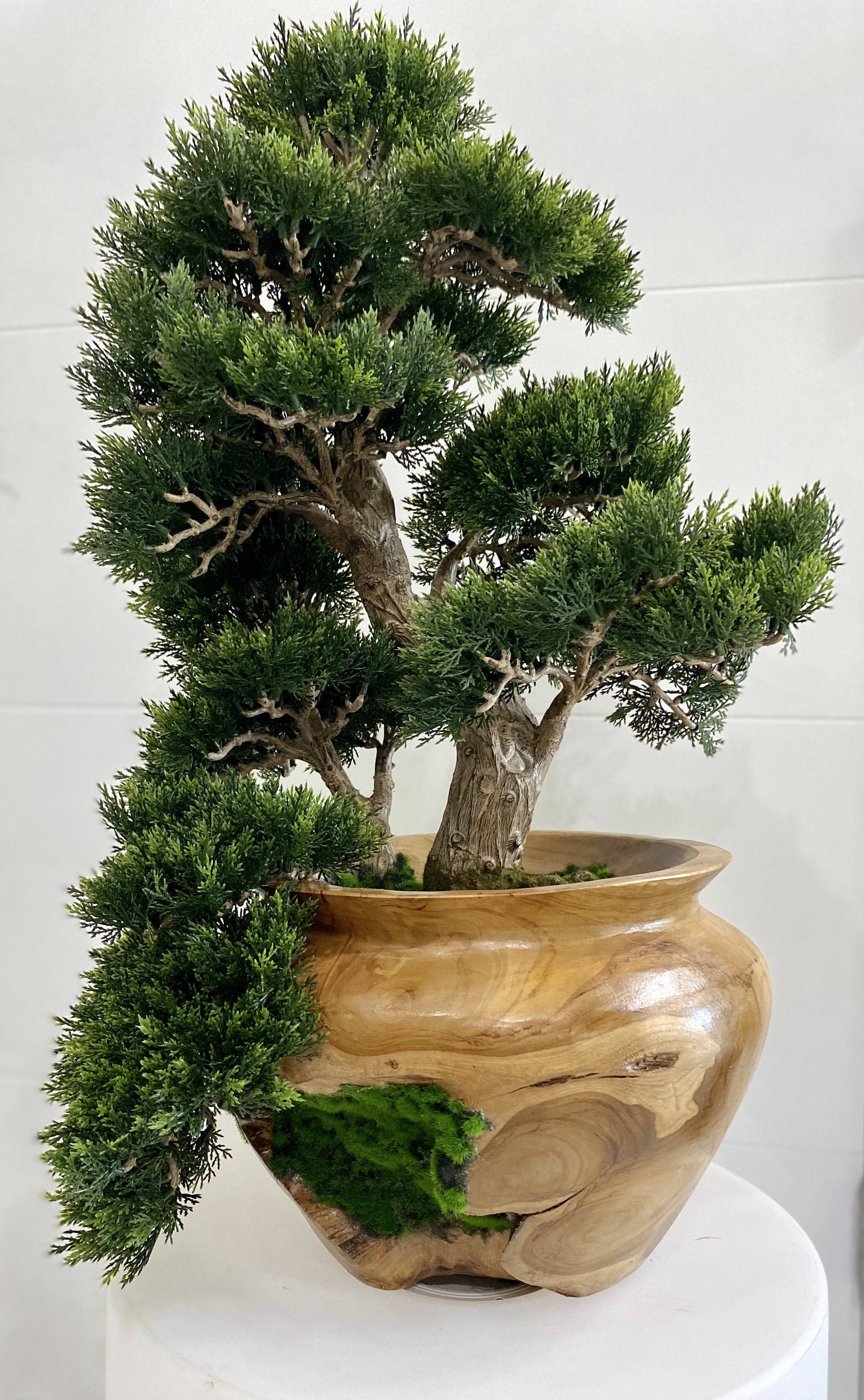 Primrue 27'' Faux Bonsai Tree | Wayfair