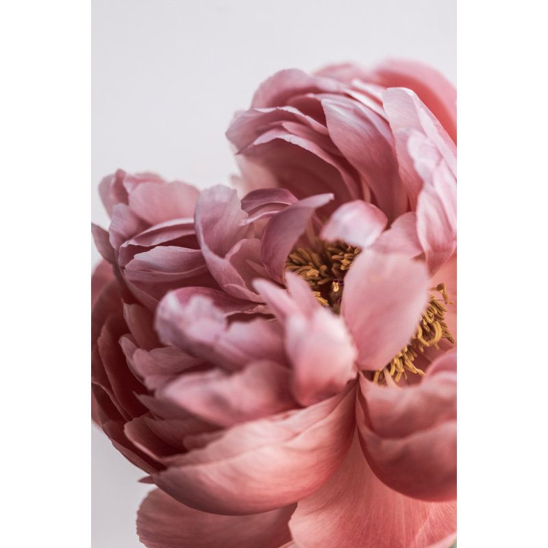 Wrapped Canvas Print, 76.2 cm H x 50.8 cm W
