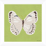 White Monarch In Green Giclee Print by Dana Gibson