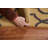 Trellis Agra Oriental Area Rug Hand-Tufted 5X8