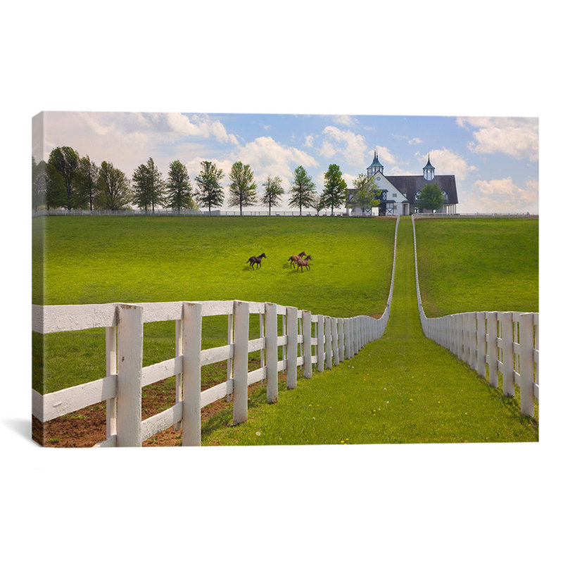 'Manchester Farm, Kentucky 08 - Color' by Monte Nagler Photographic Print on Canvas, No Mat, Black Framed Canvas