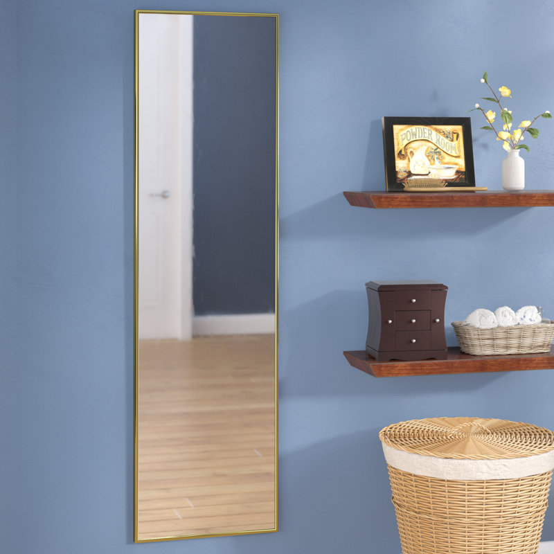 Miroir pleine grandeur Ferndown, 64,5 po x 29,5 po