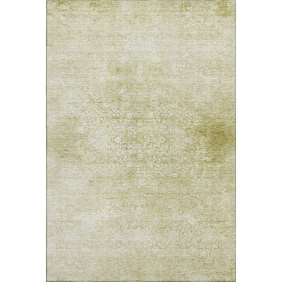 Premium Machine Washable Verlin AMF1763 Global Rug