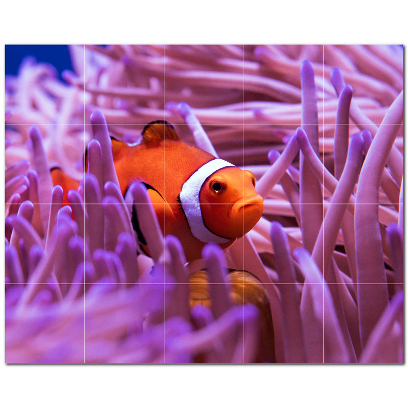 Corail photo 4,25 x 4,25