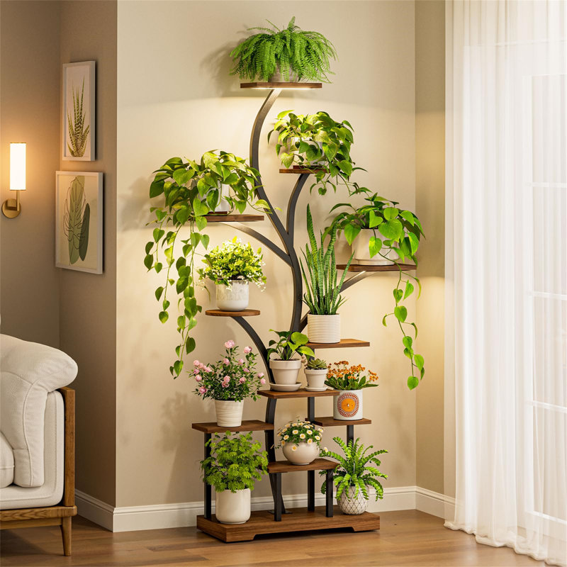 Plant Stand - Set of 6