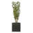 Vrej Handmade Pot Planter-14486218-26335891