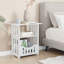 Almuth 46cm W Plastic Bedside Table