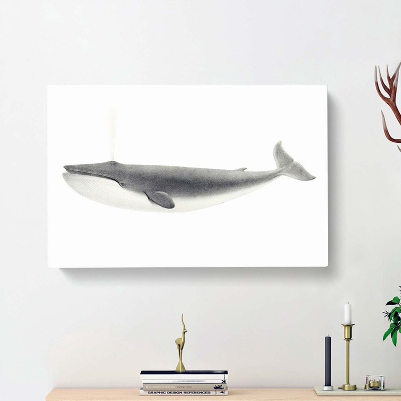 Blue Whale by C.M. Scammon - Wrapped Canvas, 40cm H x 60cm W x 3cm D