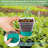 12 Cell Seed Starter Kit With Grow Light Reusable Seed Starter Tray Nursery Pots