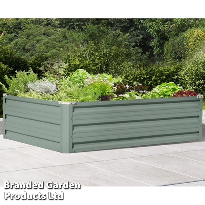 Braud Metal Raised Flower Bed (x2), 123Cm H x 34Cm W x 5Cm D