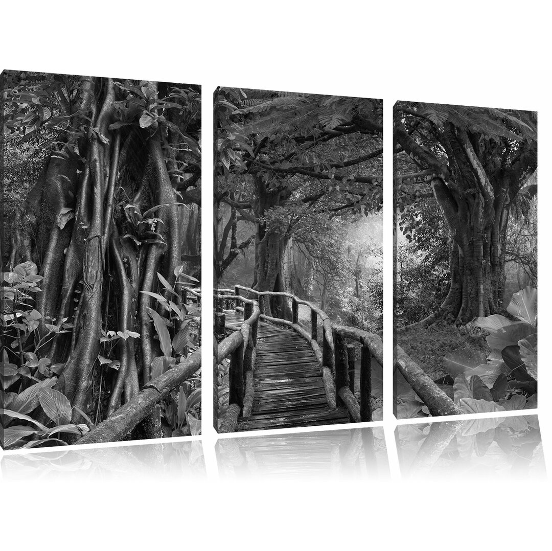 3-tlg. Leinwandbilder-Set „Der Weg durch den traumhaften Tropenwald“, Fotodruck