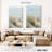 Coastal Dune Grass-243556034