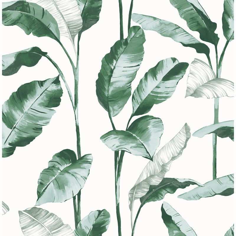 Sophany Leaves, Vert foncé