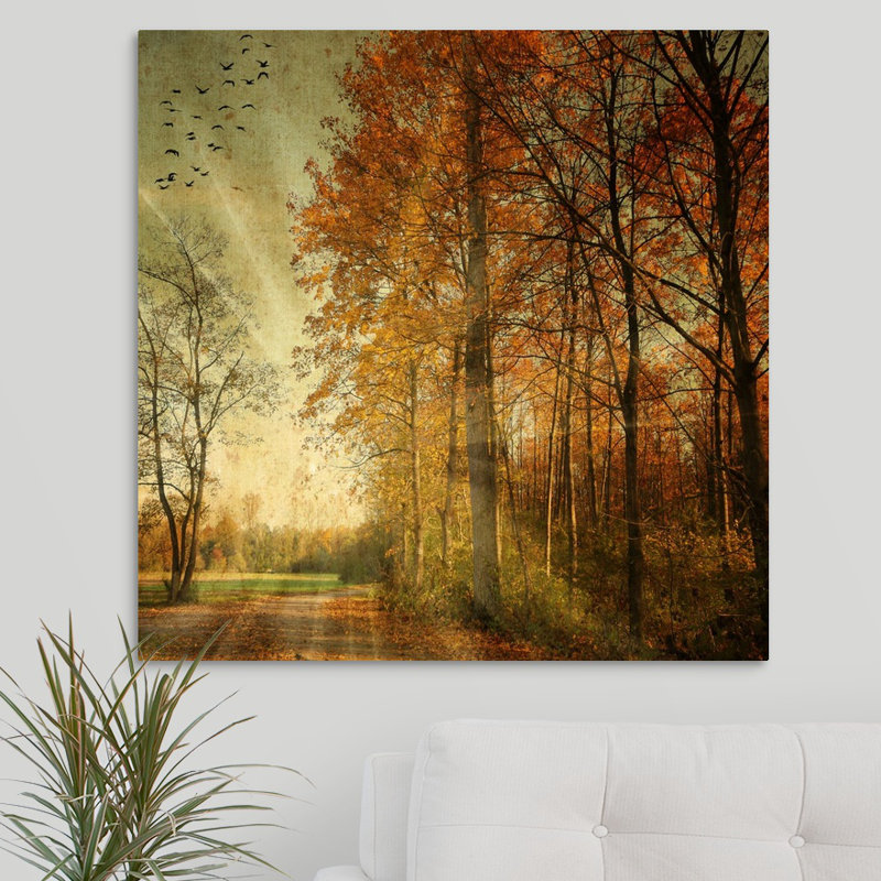 « ray automne », reproduction de photo sur toile, H 30 po x l 30 po x P 1,5 po