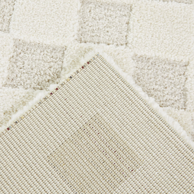 Auletta Checkered Machine Woven Rectangle 5'3" x 7' Polyester/Polypropylene Area Rug in Cream