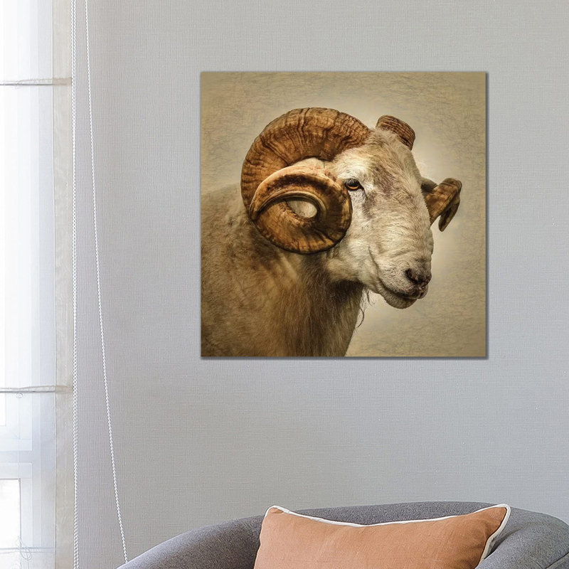 Ram by Mark Gemmell - Wrapped Canvas Print, 66.04 cm H x 66.04 cm W x 1.91 cm D