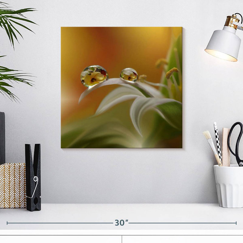 Brume de fleurs Alvord, H 16 po x l 16 po