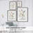 Cottage Garden Study II Framed Print - Solid Wood 49550-1419962804