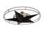 6 - Light Semi Flush Mount