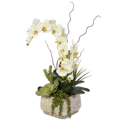 Silk Orchids Arrangement in Pot