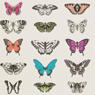 Papilio 10.05m x 68.6cm Wallpaper Roll