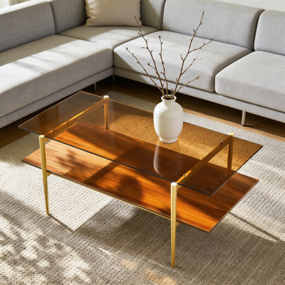 Modern Double Layer Glass Coffee Table With Tempered Glass Top And Wood Shelf, Sturdy Metal Frame For Living Room, Office Lounge