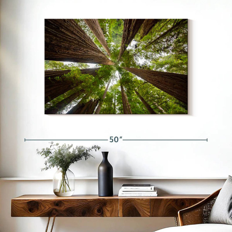 Arbres séquoia vertigineux Alvord, H 26 po x l 39 po