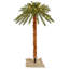 6' H Lighted Artificial Tropical Christmas Tree