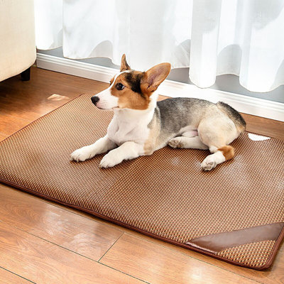Everet Striped Leather Pet Bed