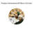 Bathing Duck Decorative Wall Clock, 12 X 12 Inch