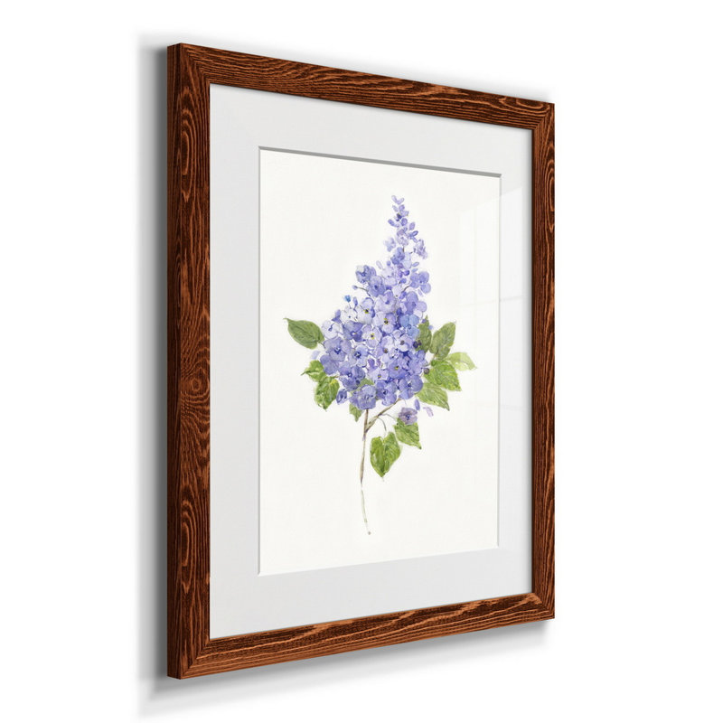 Lilas botanique délicat - impression, H 24 po x l 18 po x P 1,5 po, Érable