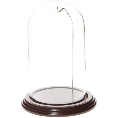 Cloche de dôme en verre pour montre / ornement 4 "x 7"