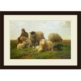 A Family Of Sheep Giclee Print by Soicher Marin Archives