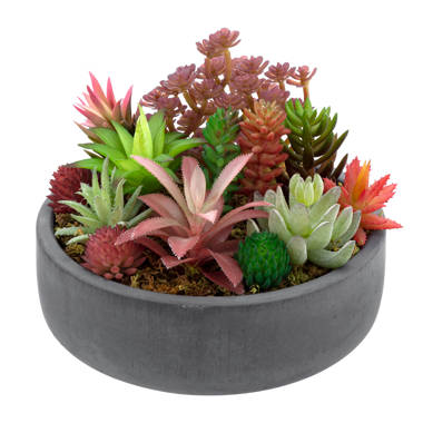 Campania International, Inc Giulia Pot Planter