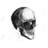 Black And White Skull Print On Canvas