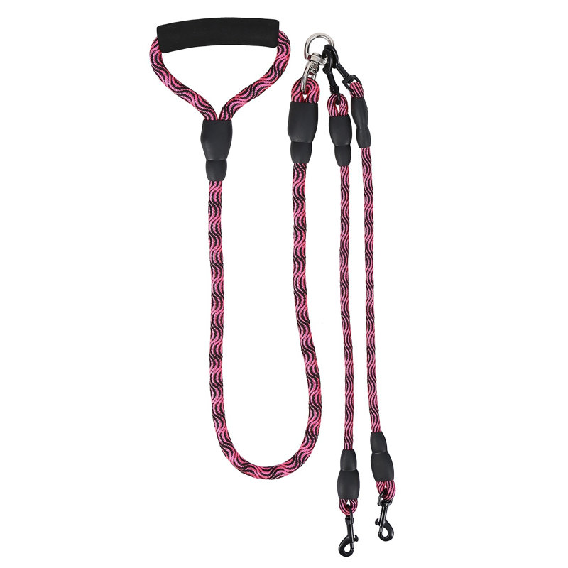 Dogs Walking Leash