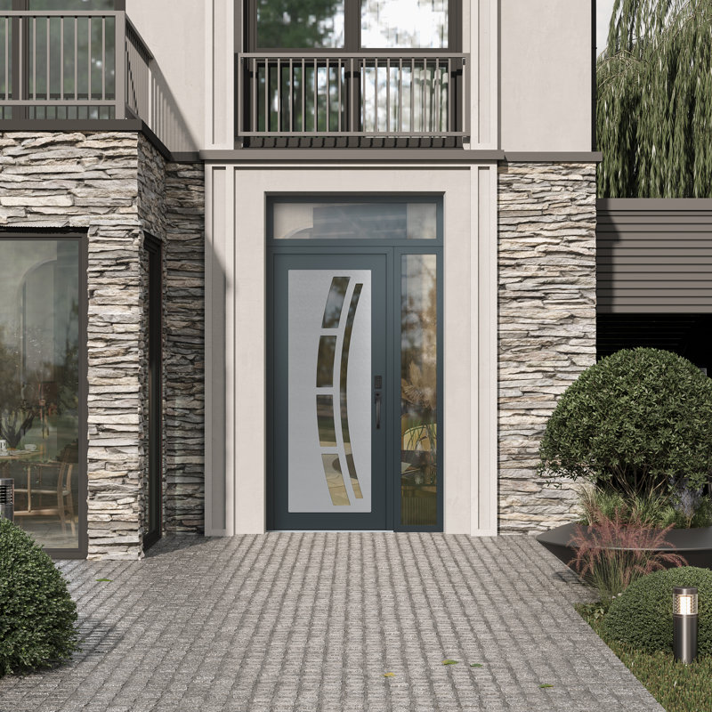 C12 à gauche 50 po X 96 po Panneau d'entrée en verre argenté anthracite et anthracite à panneau avec porte d'entrée pré-montée en verre Sidelite