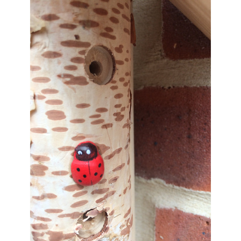 Oddi Free Standing Ladybird House