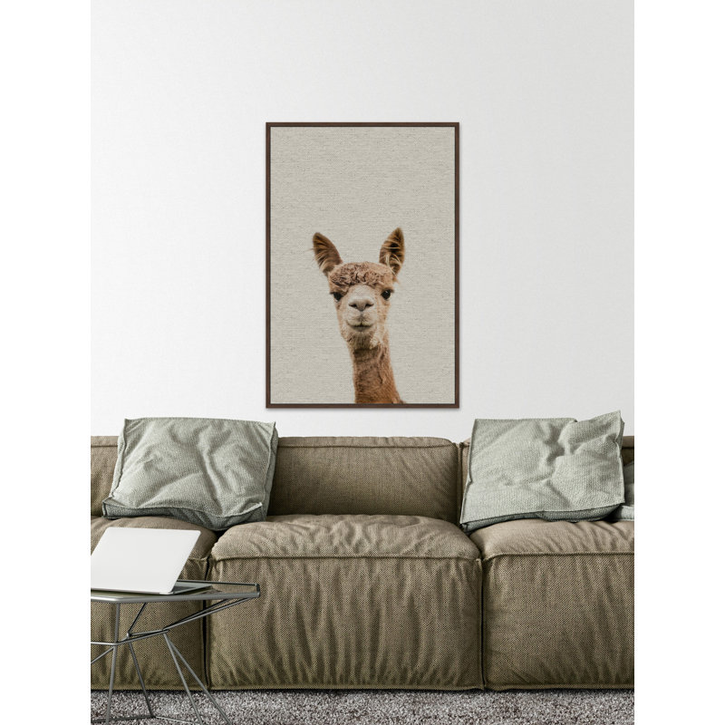 Llama Face VI - Floater Frame Print on Canvas, 46 cm H x 30 cm W x 4 cm D