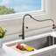Robinet de cuisine à poignée simple Topcraft-94118608