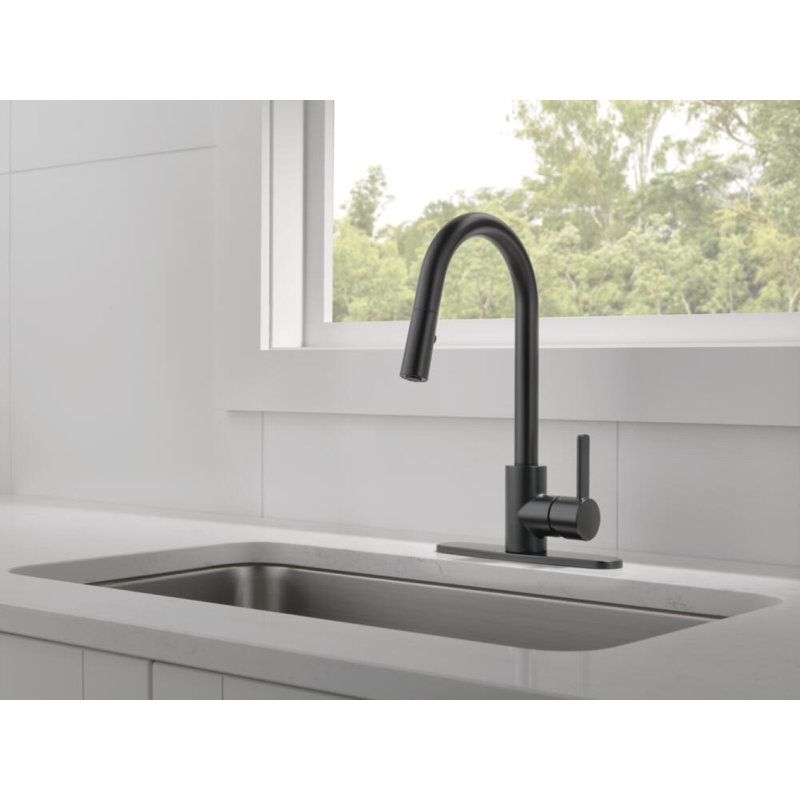 Peerless faucet Kitchen Faucet Side Spray, Matte Black