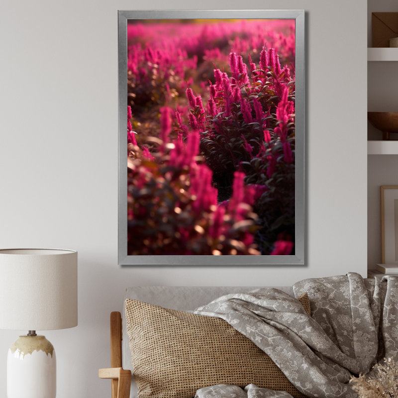 Abstraction florale fuchsia IV, Cadre photo argenté, H 32 po x l 16 po x P 1 po