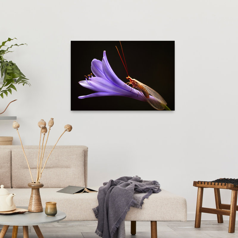 Lacewing On Purple Flower Delicate Vibrant Contemporary Violet Flower Nature Wall Art Print 1 Piece Wrapped Canvas Wall Art