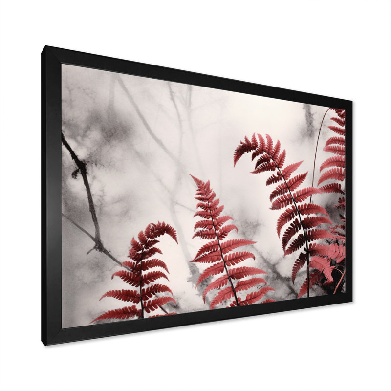 «Red Grey Fern Flowers», impression sur toile, Cadre photo noir, H 16 po x l 32 po x P 1 po