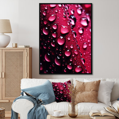 Rose rouge avec des gouttes de pluie xiv
