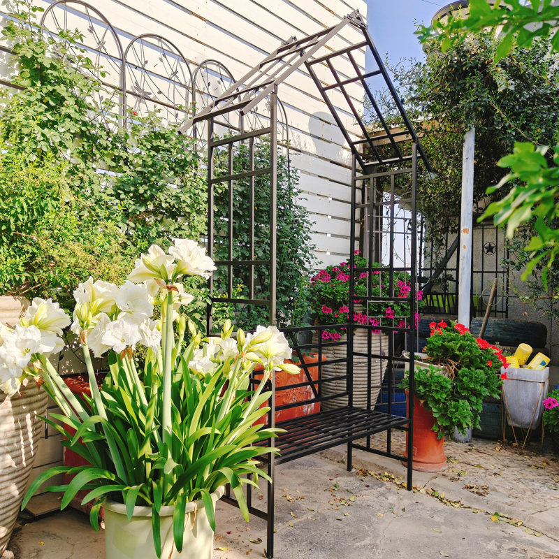 Metal Garden Arch With Bench Turned Into Flower Stand W58.07*H97.24 Climbing Plants Support Rose Arch Outdoor Black