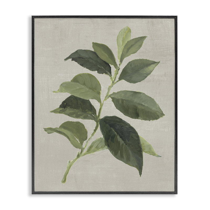 Giclée à feuilles de caféier Arabica, design par Lanie Loreth, H 14 po x l 11 po, Giclée encadrée noir minuit